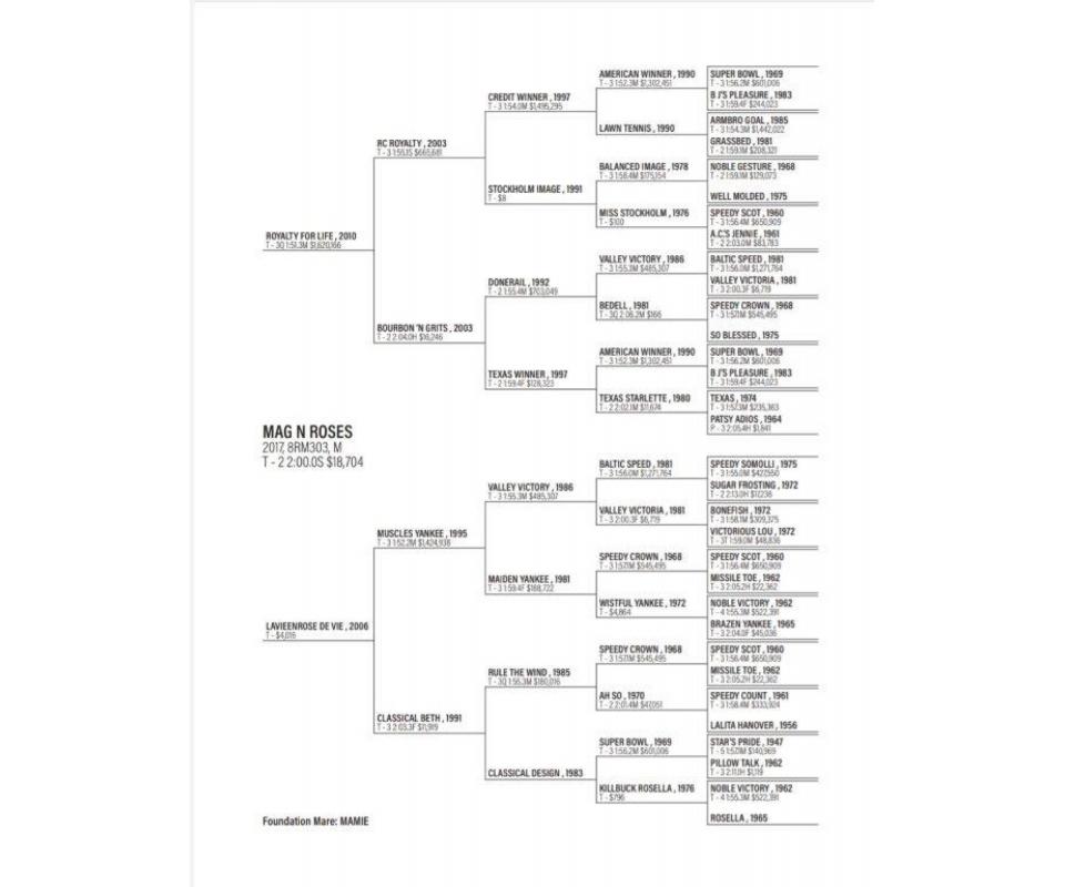 Mt Hope Auction Reg Horse Sale