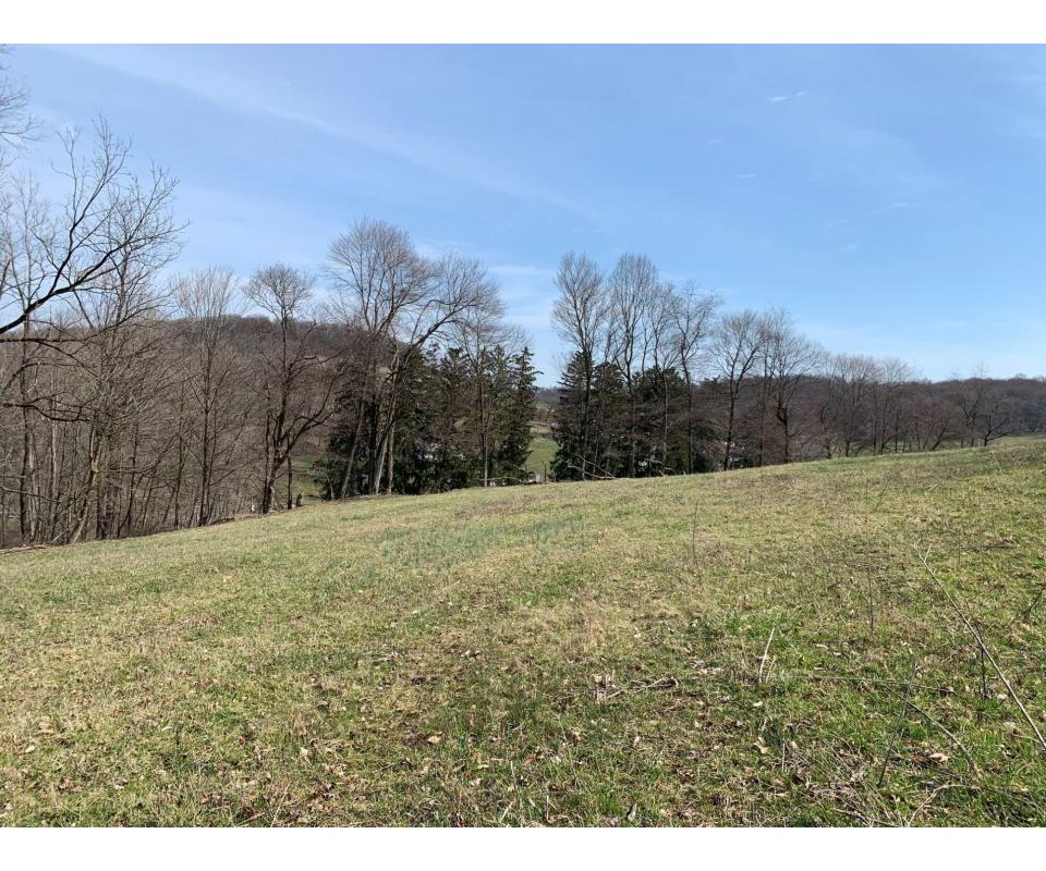 Great Tract of Holmes County Land and Contents Becks Mills