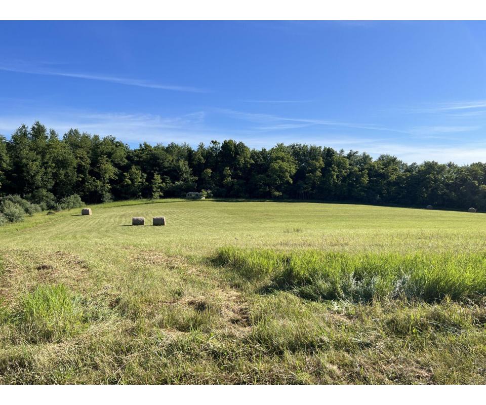 Guernsey Co. Ohio Real Estate Auction