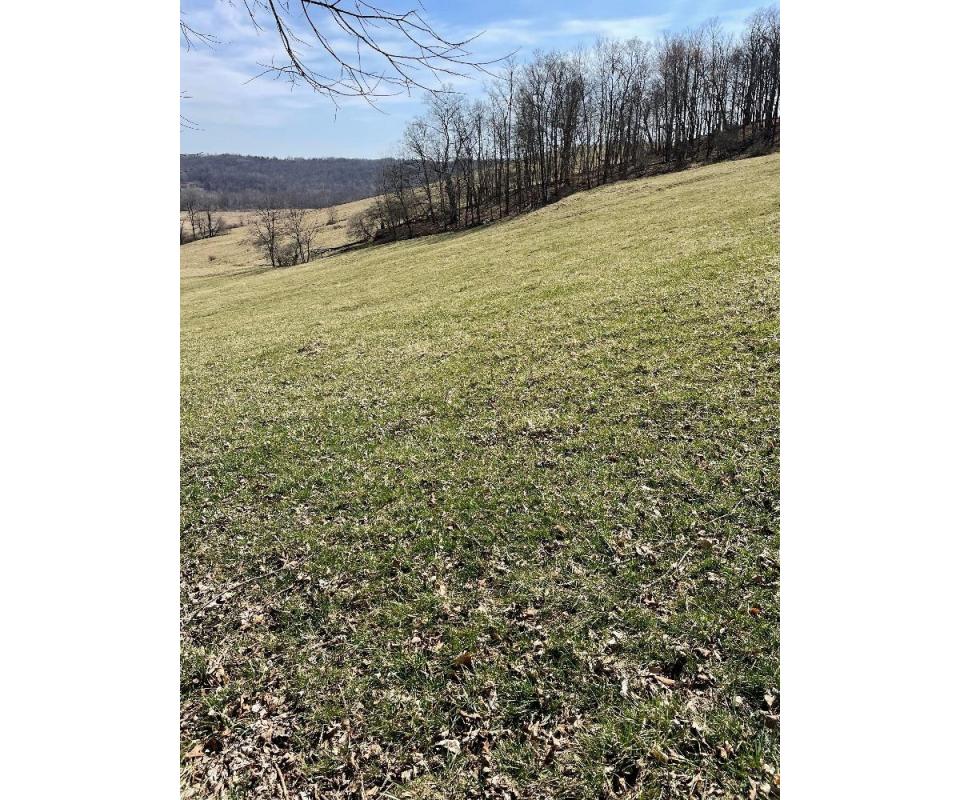 Beautiful Tract of Holmes County Land