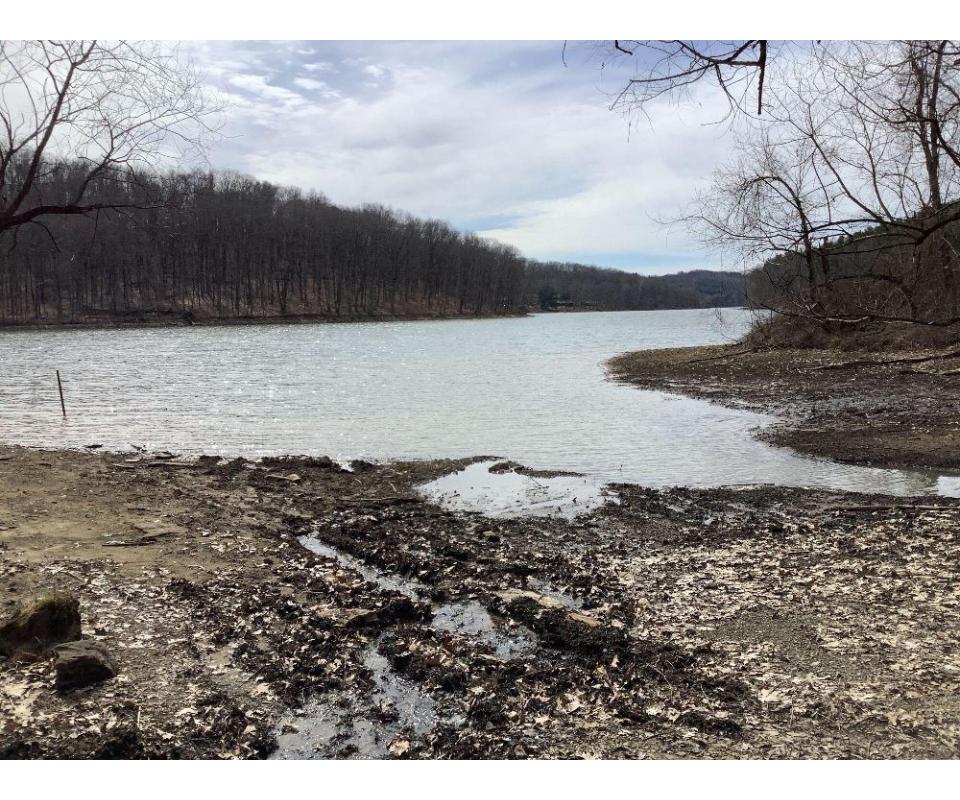 Charming Leesville lake cabin