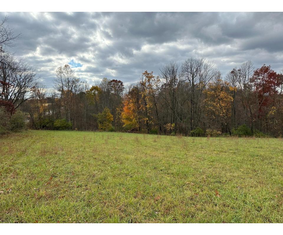 Excellent 20 Acres in Tuscarawas County