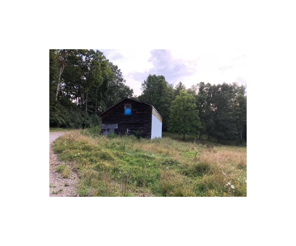 CARROLL COUNTY LAND & MINERALS AUCTION