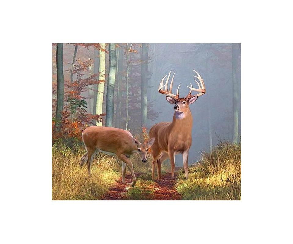 WHITETAILS UNLIMITED DINNER AUCTION