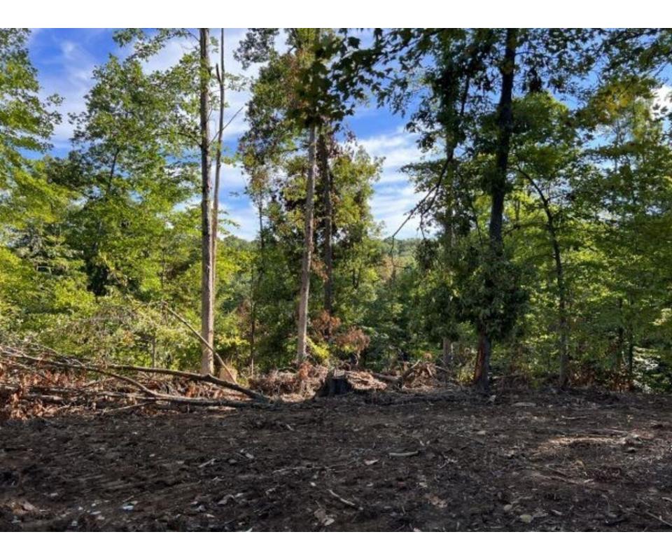 40 ± Acres Monroe County Indiana Land For Sale