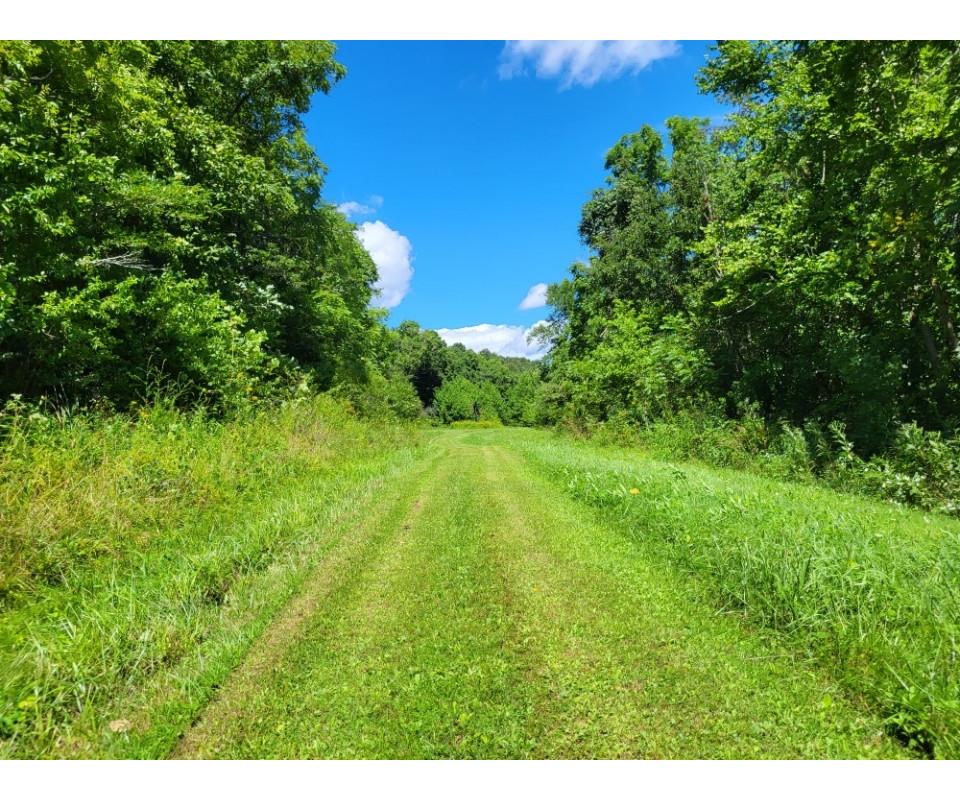 ABSOLUTE MUSKINGUM COUNTY OHIO REAL ESTATE AUCTION