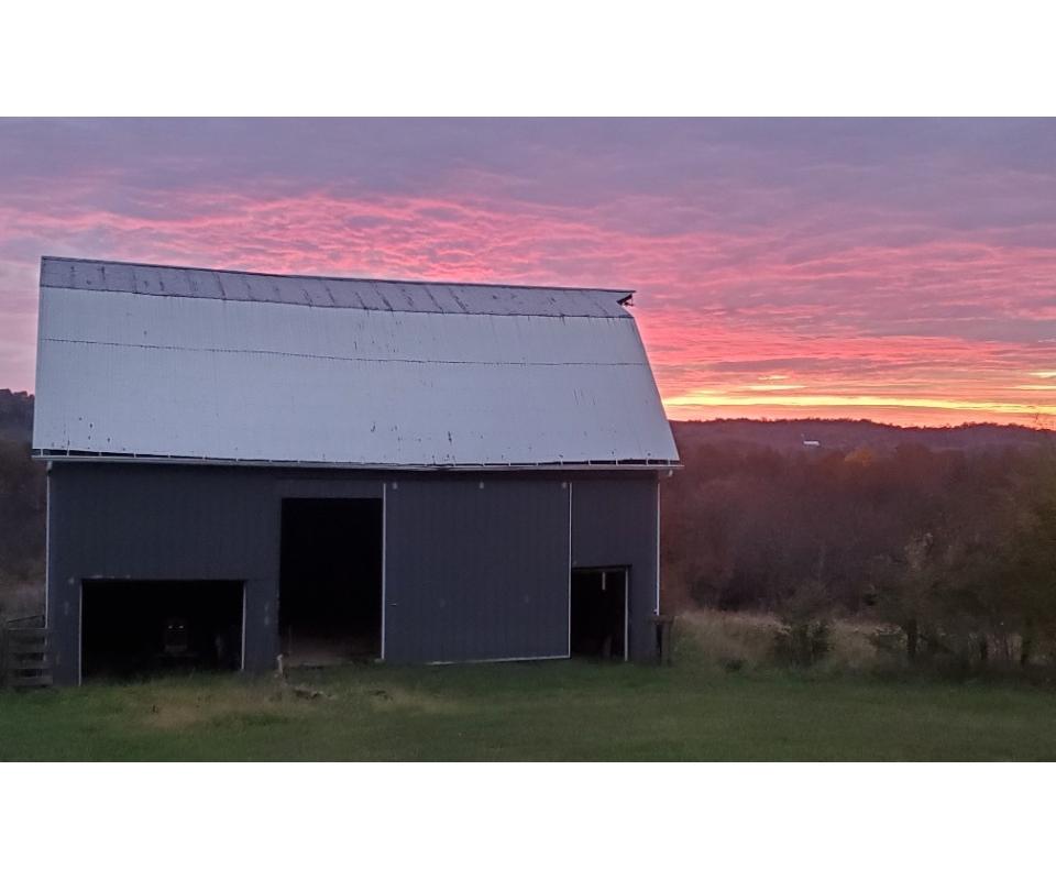 ABSOLUTE 161+/ ACRE COUNTY OHIO REAL ESTATE AUCTION