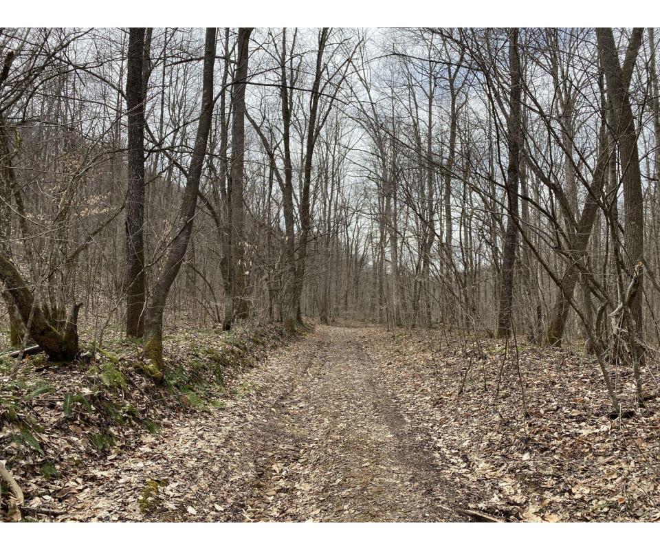 Absolute 75 Acres Preston County Land