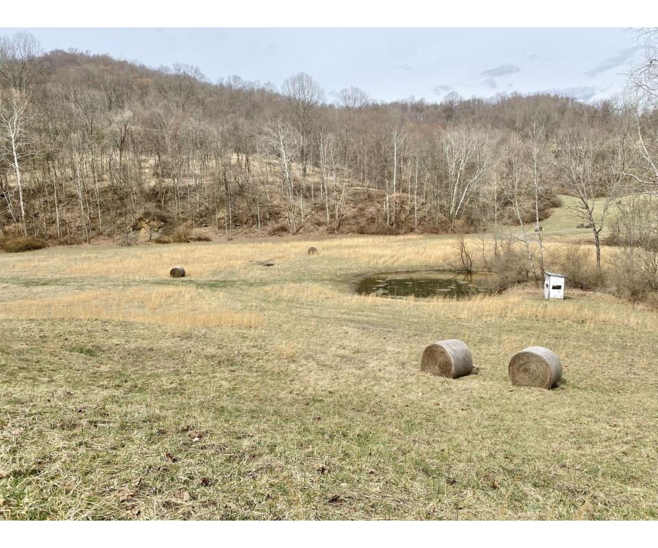 30 Acres Harrison County Land