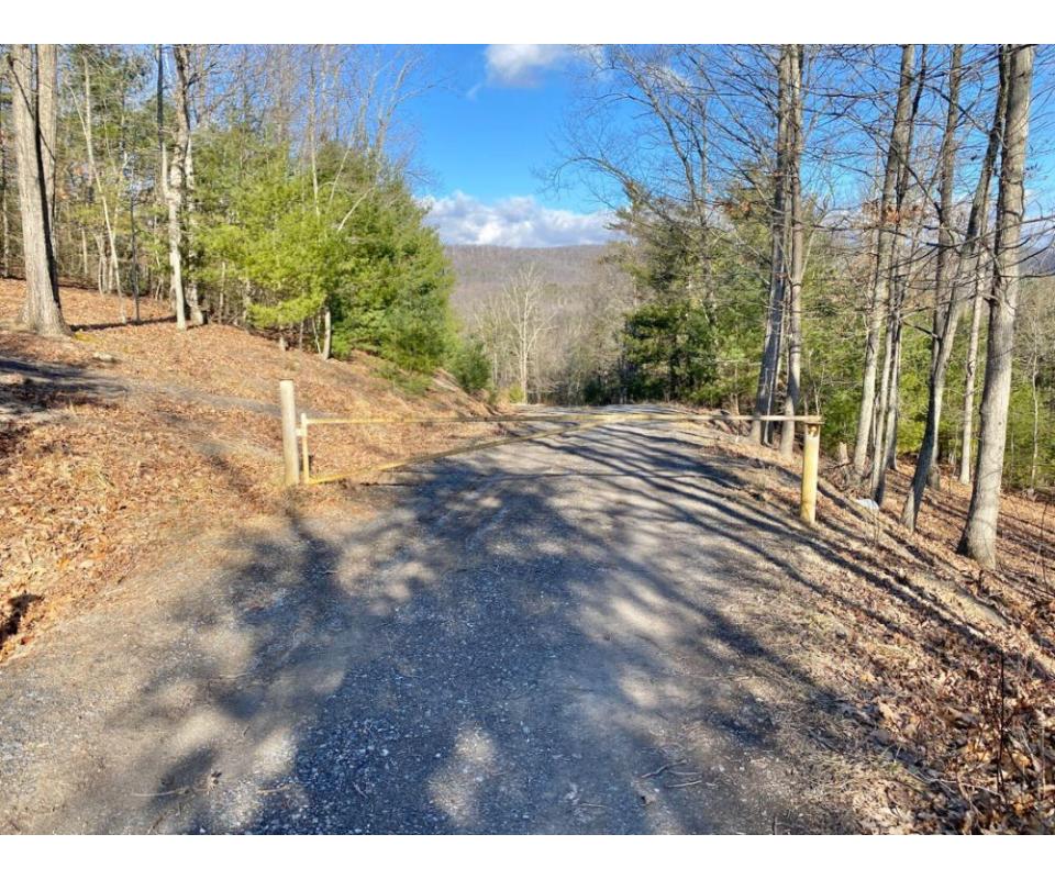 28 +/ Acres Pendleton County Land