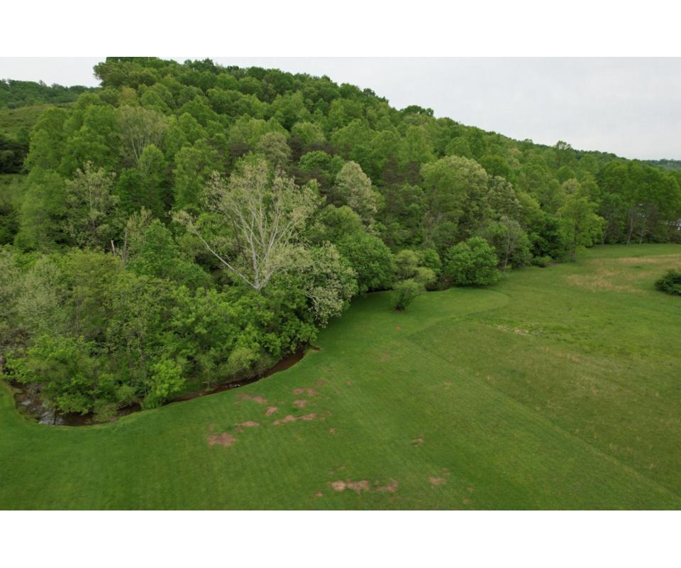 32 +/ Acres Lewis County Land with Vacant Building Site