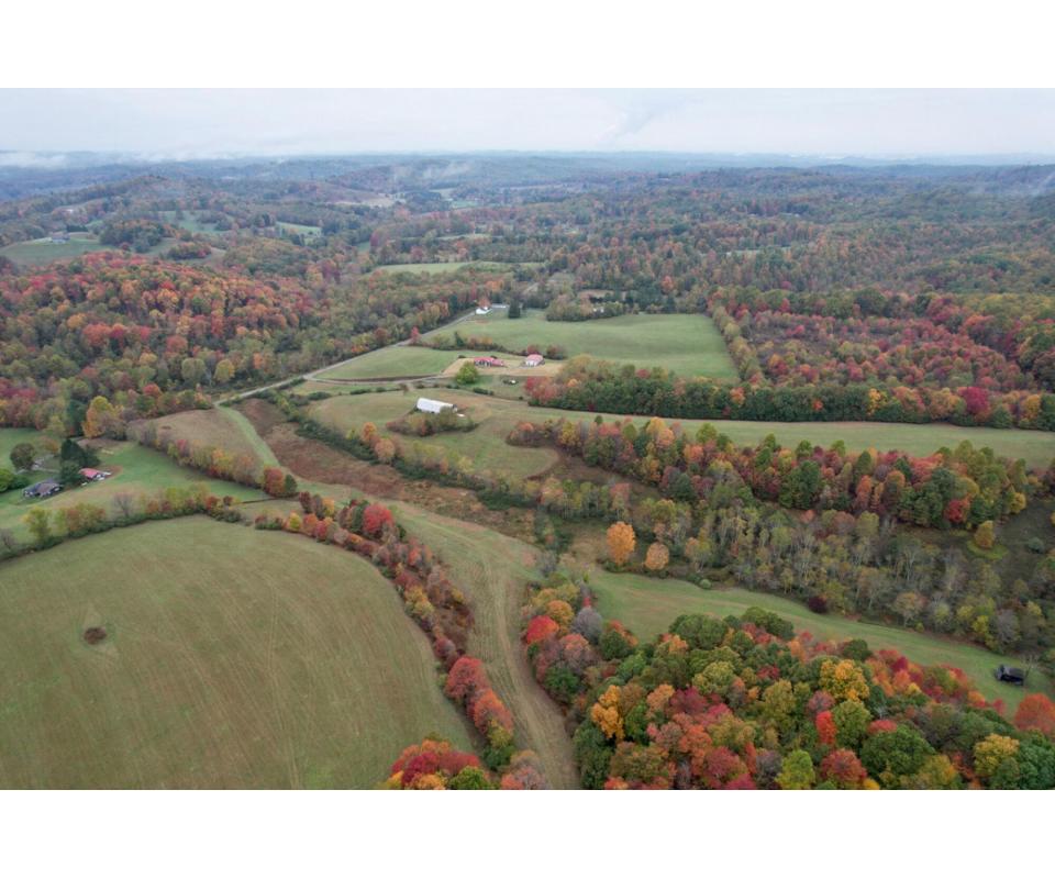 Spectacular 210 +/ Acre Marion County Farm with Mineral Rights Offered