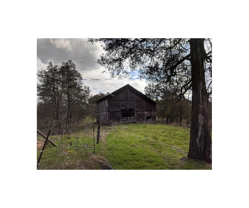 Real Estate Auction 79.6 Acres in Hamblen Co. TN