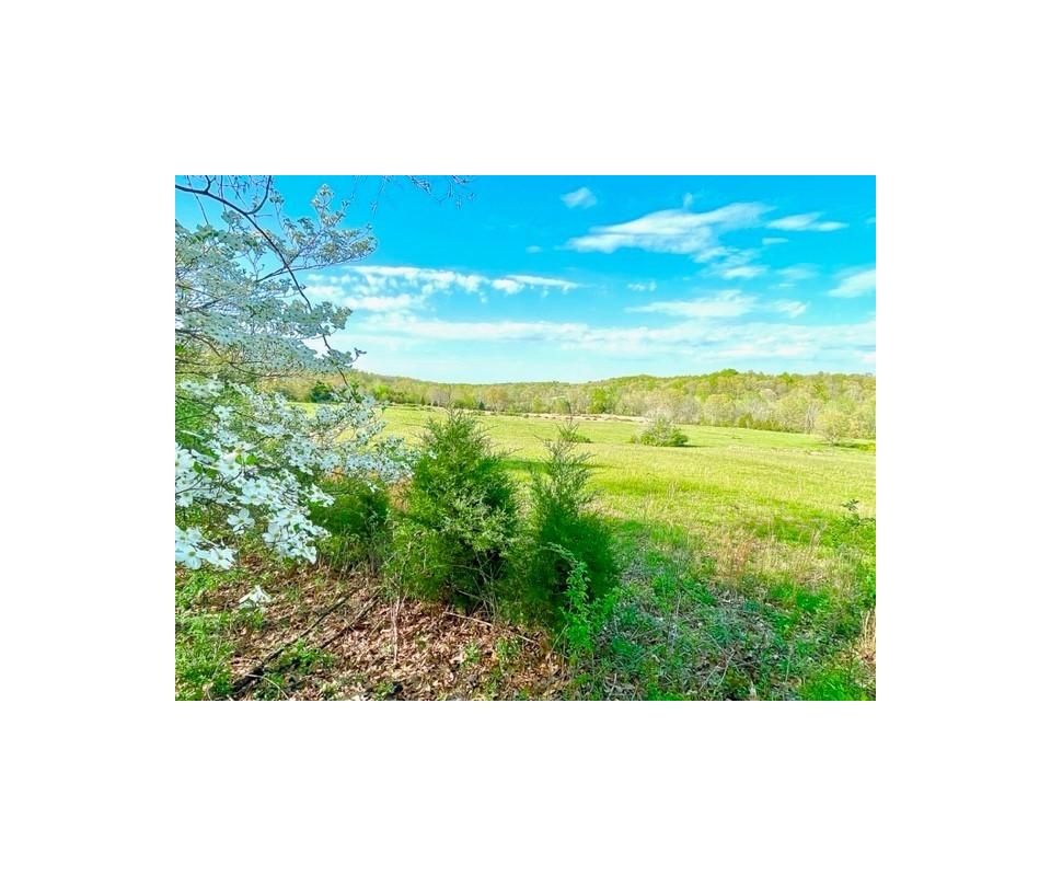 Absolute Auction 12+Acres in 11 Parcels at Rough River Lake