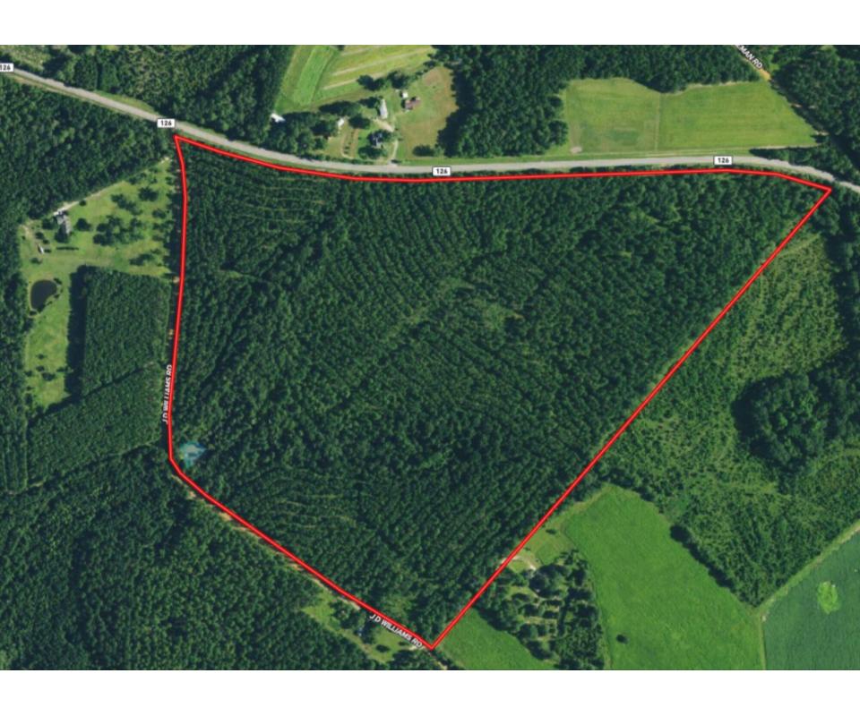 Cadwell 100 acre Land Sale