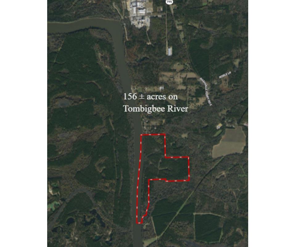 156 +/ Acres on Tombigbee River