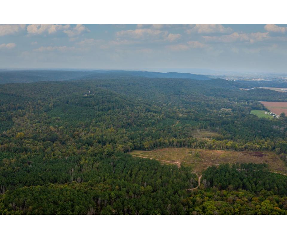 SOLD ***1260 +/ Acres Lawrence County AL***SOLD