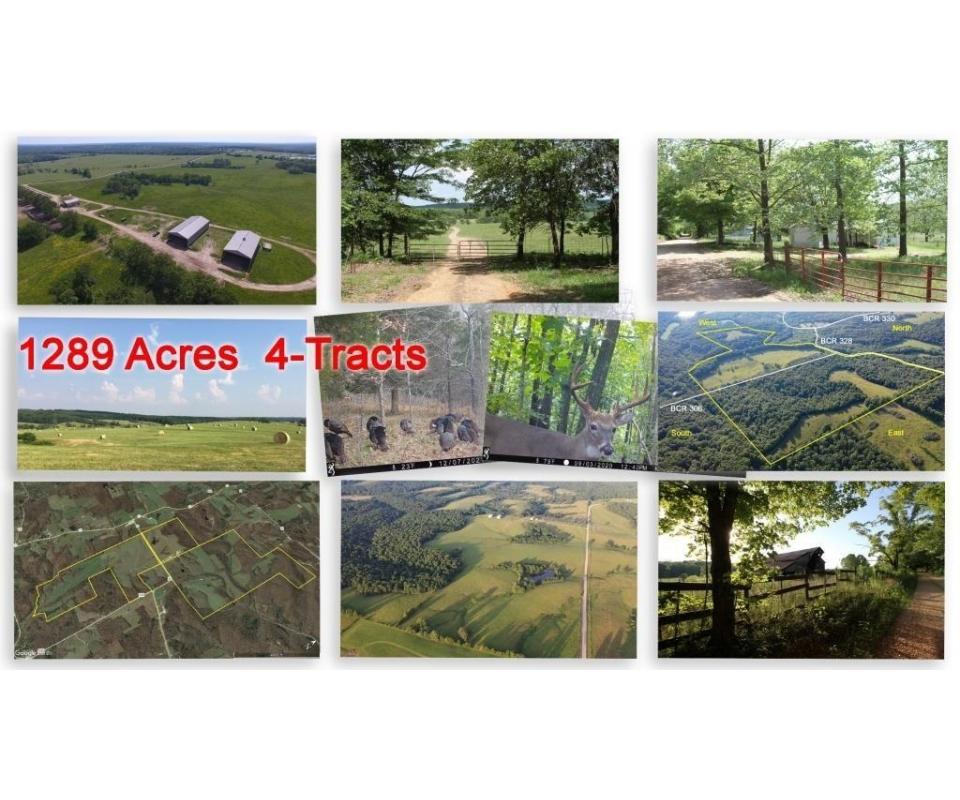 MO 81A Renner Stock Farm Patton, Missouri