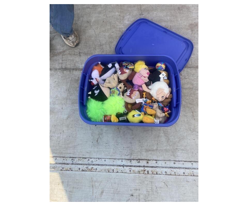 Nov 6 2022 1000AM Live Auction Belvidere IL