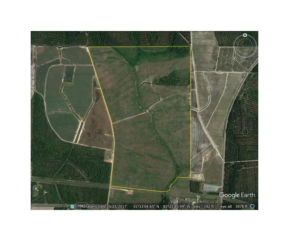 238+/ Acre Blueberry Farm in Alma,