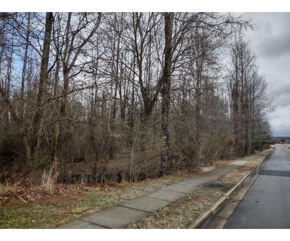 38 Vacant Acres± As A Whole Riverside Landing Subdivision