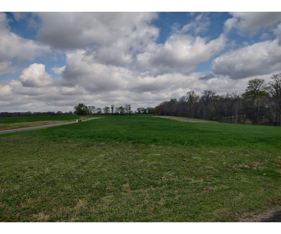 (12) Residential Lots In Highland Village On Wheeler Lake, Athens