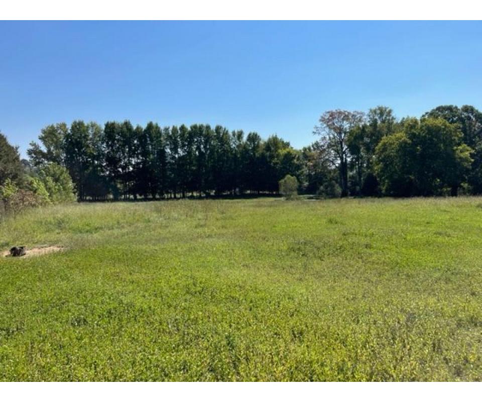 HIGHWAY 64 ONLINE AUCTION