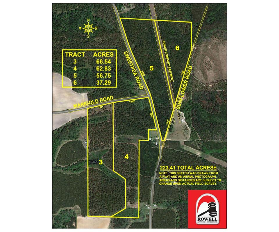 223 ± Acres Tremendous Timber Tracts Ben Hill Co., GA