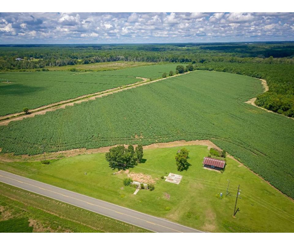 45± Acres Berlin, GA