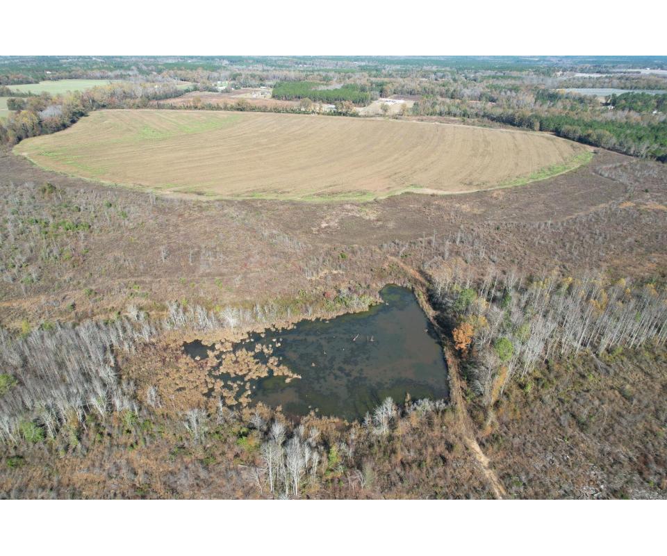 198± Acres Montgomery County, GA