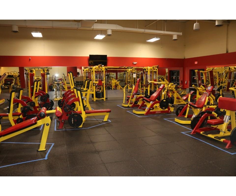 Absolute Auction Retro Fitness Gym Equipment Bel Air Md