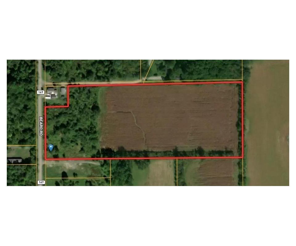 Reese Real Estate Auction