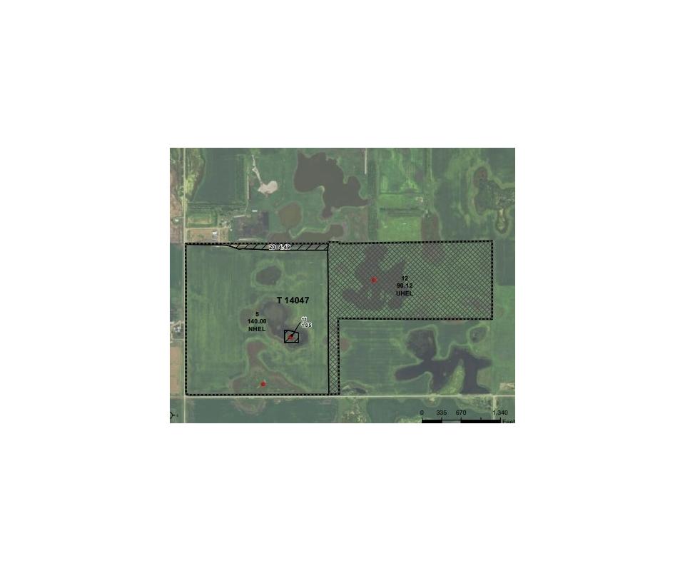 240+/ Acres of Beadle County Farmland at Auction