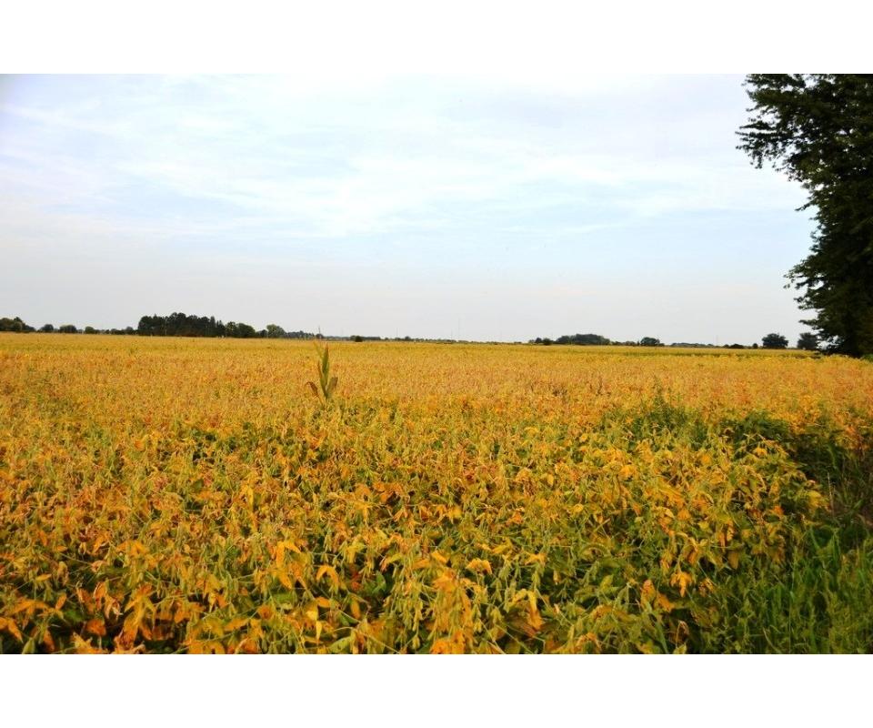 Miami County, Newton Township Real Estate Auction