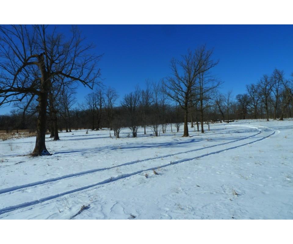 Online Auction 70 Acres Ag Land Pasture Foley MN