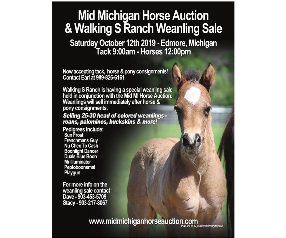 Mid Michigan Horse Auction and Walking S Ranch Weanling Sale