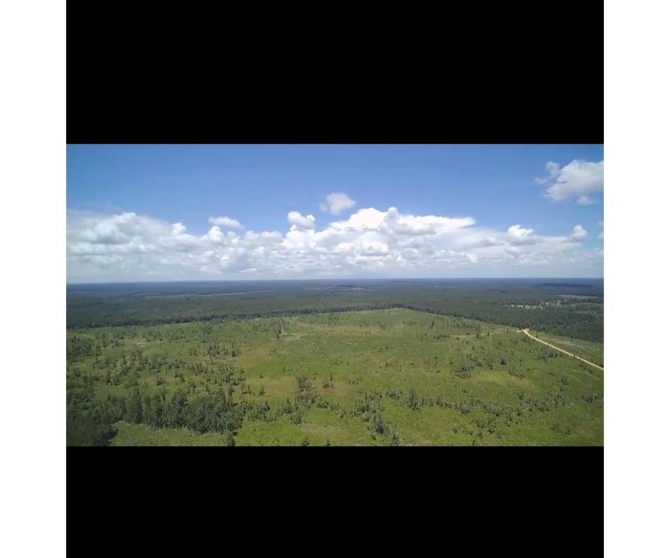 Waldo, Arkansas Real Estate Auction