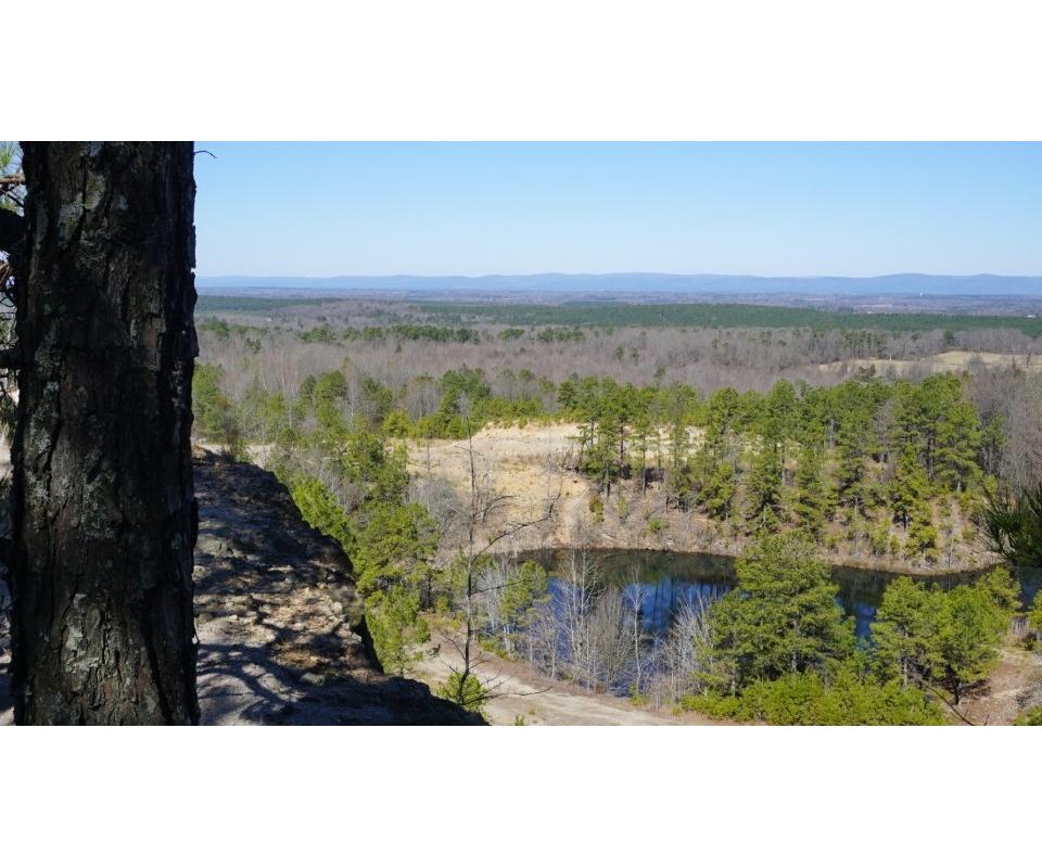 Absolute Real Estate Land Auction Hatton, Arkansas