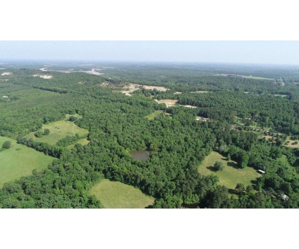 103 MOL Acres Real Estate Land Auction Hatton Arkansas