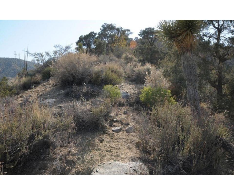 Wrightwood, CA Hilltop Land for Sale with Panoramic Views