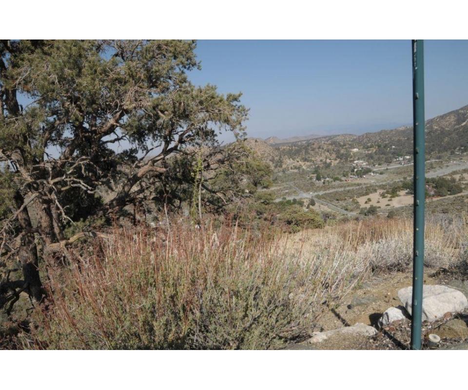 Wrightwood, CA Hilltop Land for Sale with Panoramic Views