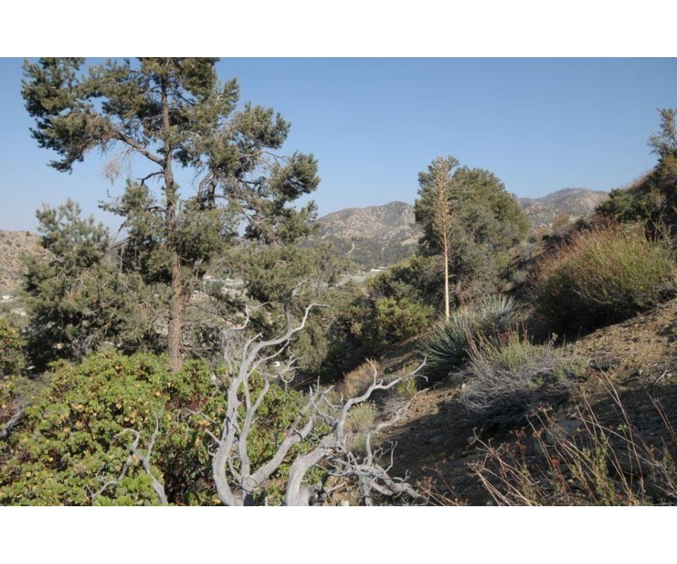 Wrightwood, CA Hilltop Land for Sale with Panoramic Views