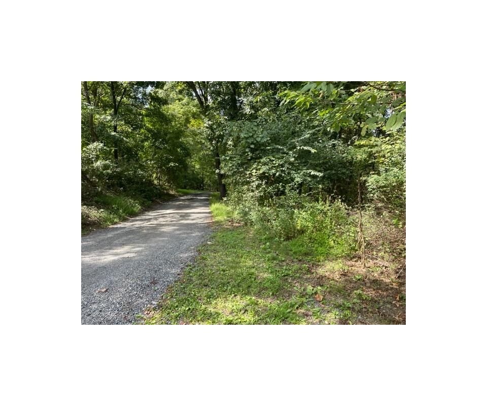 Public Real Estate Auction +/24 Acres Woodland Juniata County