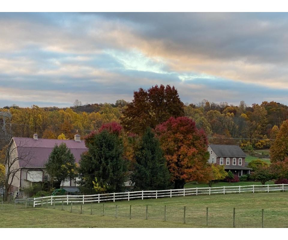 Public Real Estate Auction +/ 30 Ac. Farm Berks County