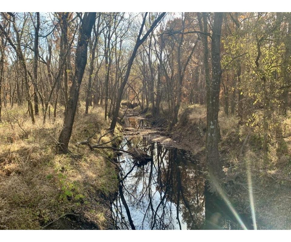 Linn County, MO Land iAuction Trower Property