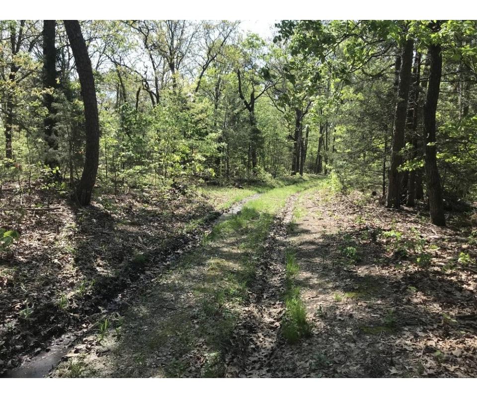 Washington County, MO Land iAuction Widman Property