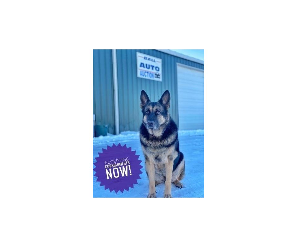 Ball Auto Auction 22