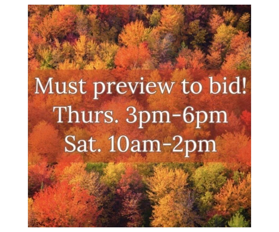 Ball Auto Auction 33