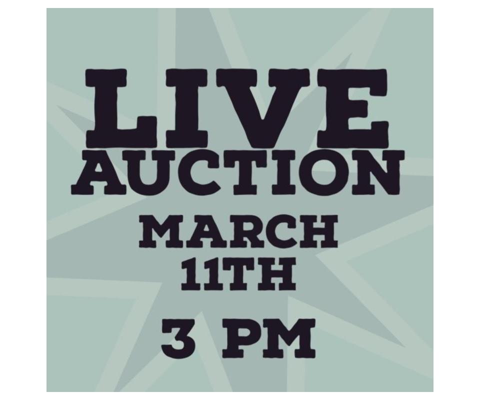 Ball Auction ***LIVE SALE***