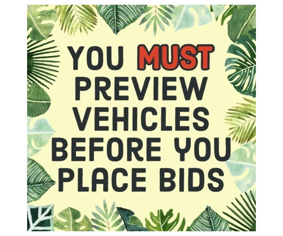 Ball Auto Auction 55